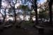 2007-10-16 09-11-11_ISO 400_f-7.1_1-200 s_11 mm