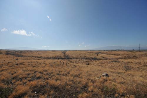 2009-10-10 12-36-20_ISO 250_f-11_1-500 s_10 mm