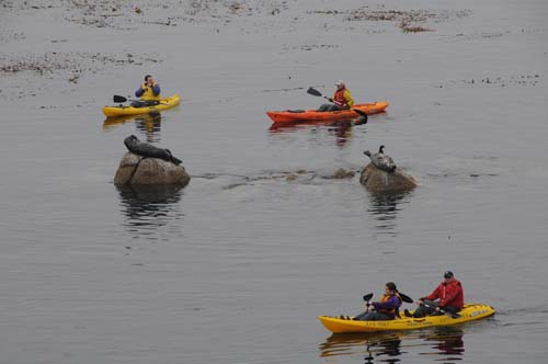 2008-09-29 11-23-56_ISO 400_f-10_1-400 s_170 mm